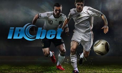 Mengenal IBCBET: Platform Taruhan Online Terpercaya